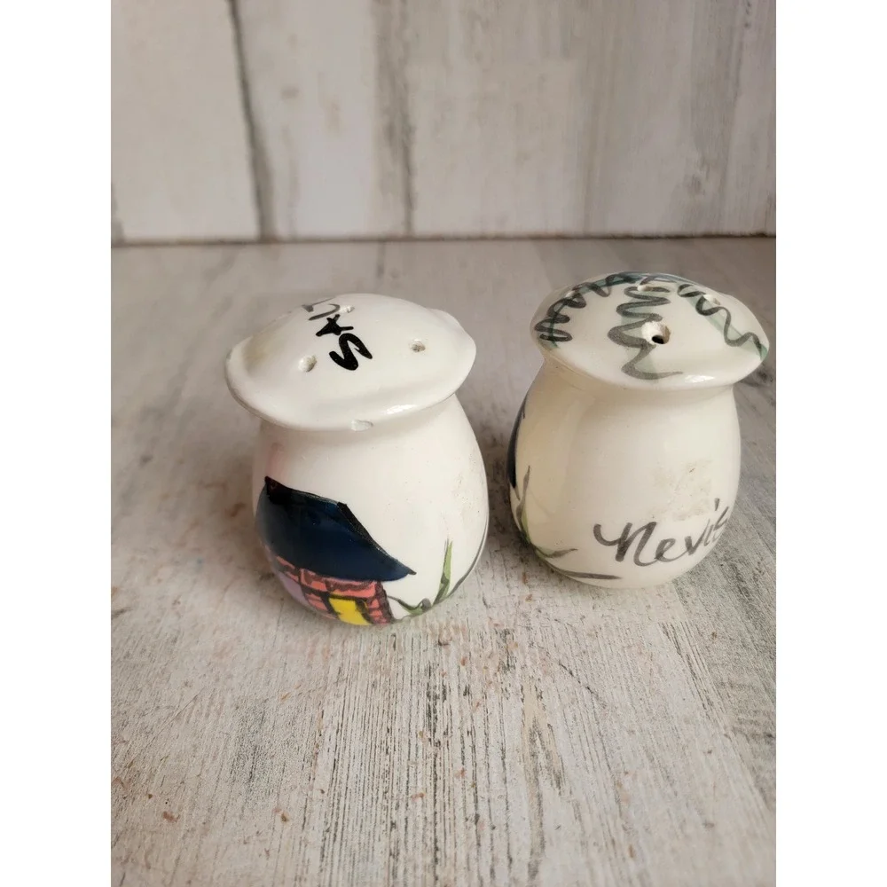 Nevis vintage salt pepper shaker house landscape ceramic set kitchen